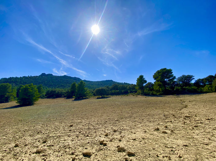 Image No.3-5 Bed Finca for sale