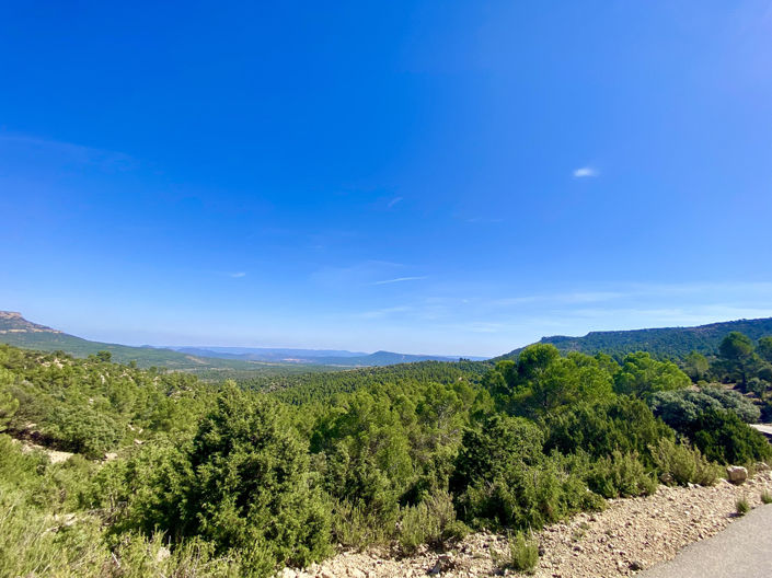 Image No.30-5 Bed Finca for sale