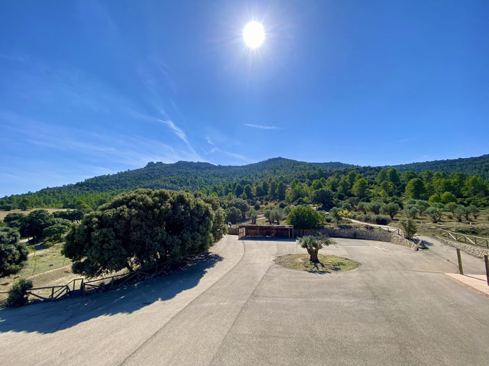 Image No.4-5 Bed Finca for sale