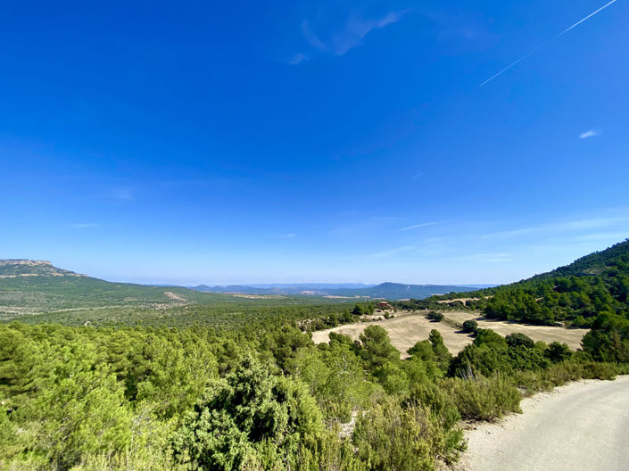 Image No.5-5 Bed Finca for sale