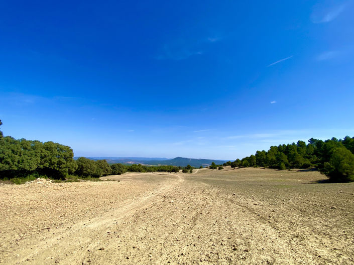 Image No.6-5 Bed Finca for sale