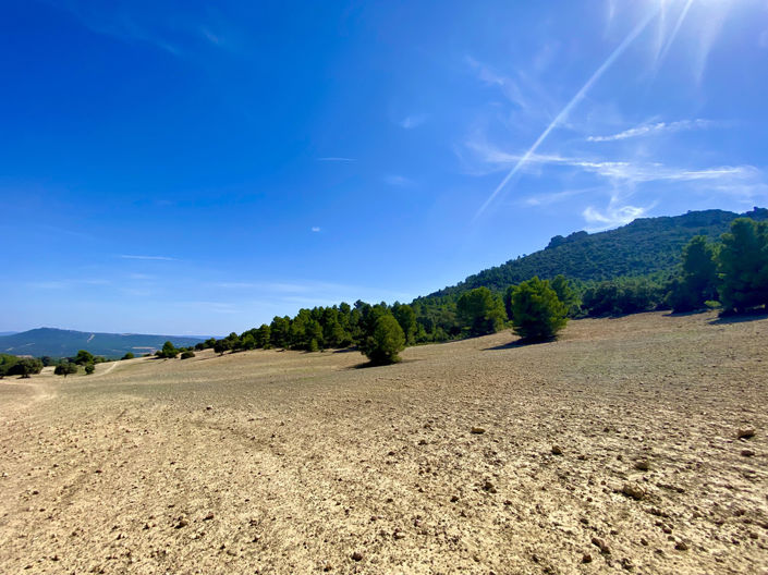 Image No.7-5 Bed Finca for sale