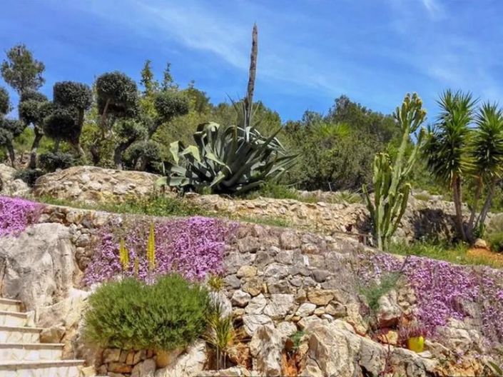 Image No.15-Finca de 4 chambres à vendre à Pedreguer