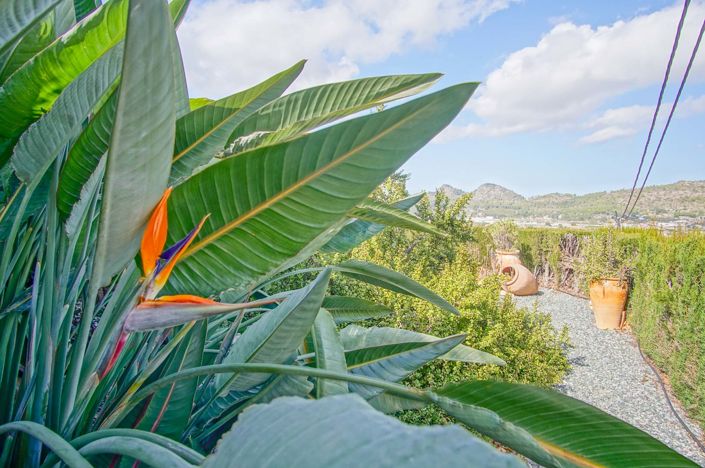 Image No.34-Villa de 4 chambres à vendre à Pedreguer