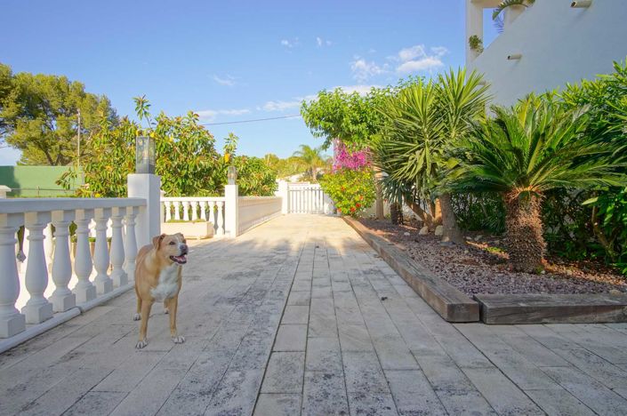 Image No.35-6 Bed Villa for sale