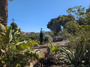 o1inqp7cv816mb1q0a5gr9liuo825