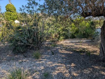 o1inqp7cv81ts91tf71jvv1er1uk729