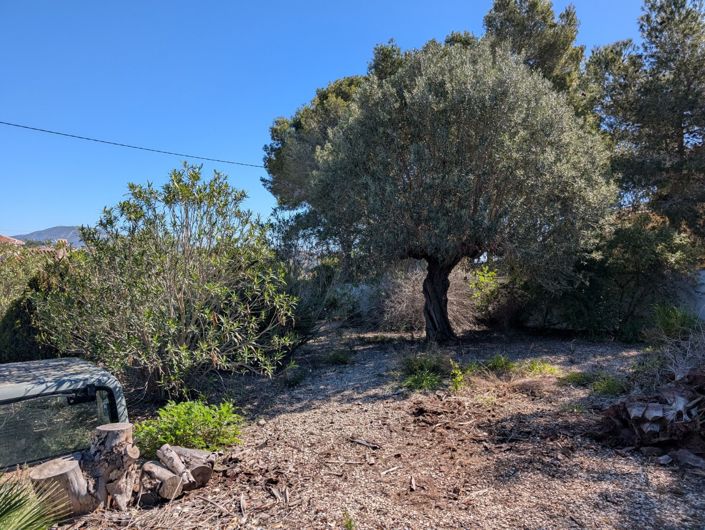 Image No.5-Terre à vendre à Benissa