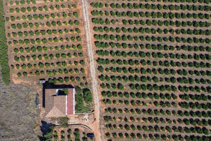 Image No.22-Villa à vendre à Denia