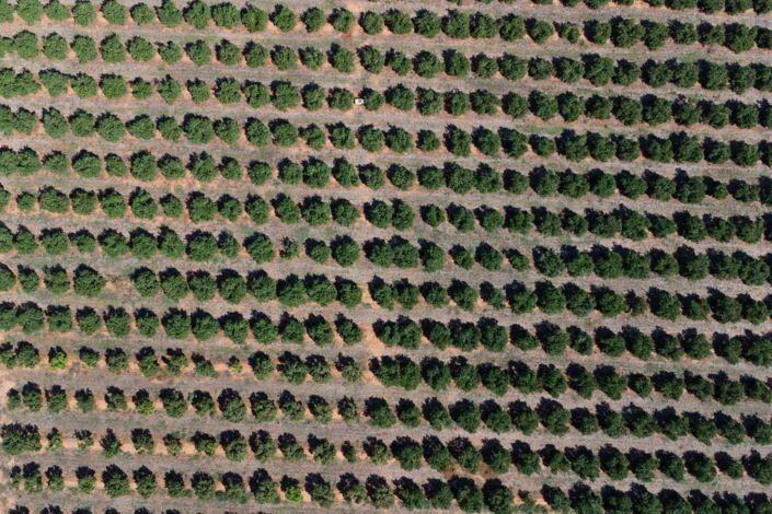 Image No.23-Villa à vendre à Denia