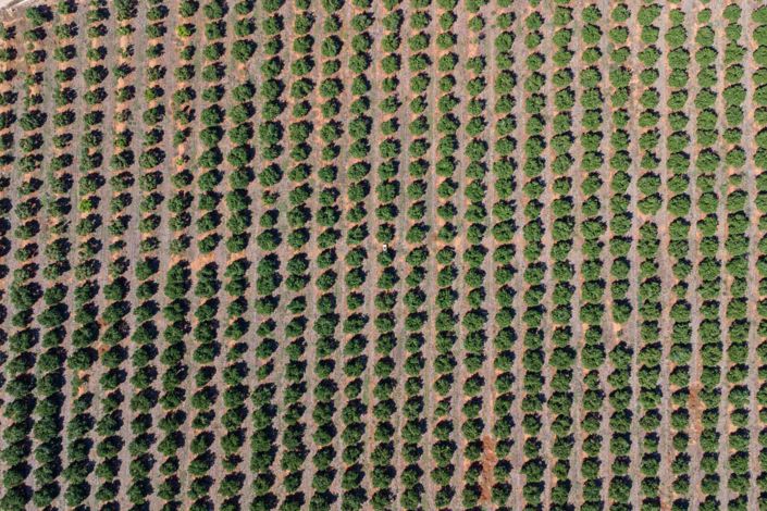Image No.24-Villa à vendre à Denia