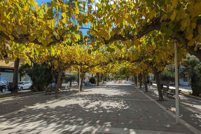 Image No.26-Finca de 2 chambres à vendre à Teulada