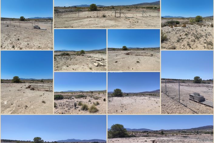 Image No.2-Villa de 3 chambres à vendre à Pinoso