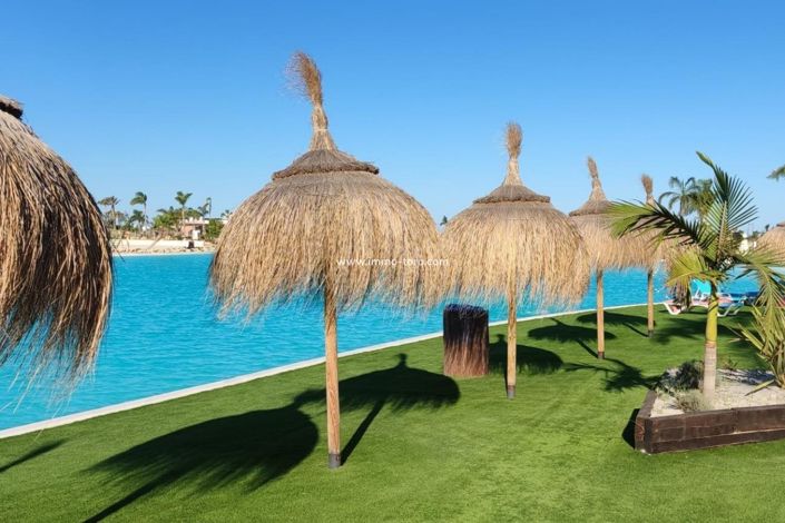 Image No.4-Penthouse de 3 chambres à vendre à Torre Pacheco Town