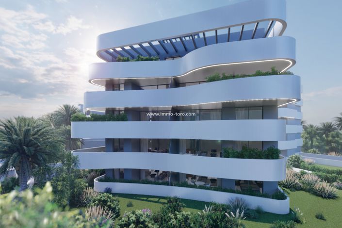 Image No.4-Propriété de 2 chambres à vendre à Guardamar del Segura