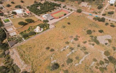 dji_fly_20230406_110522_705_1680