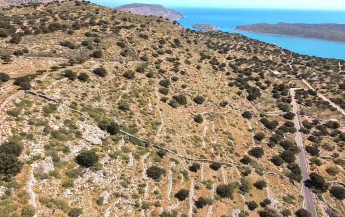 Image No.11-Terrain à vendre à Elounda