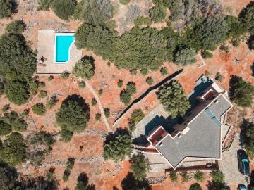 dji_fly_20250805_114348_637_1754383474290_photo