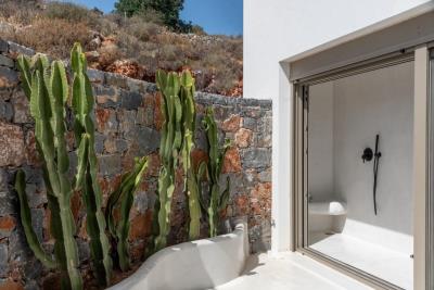 CK_image-48-1024x684-1