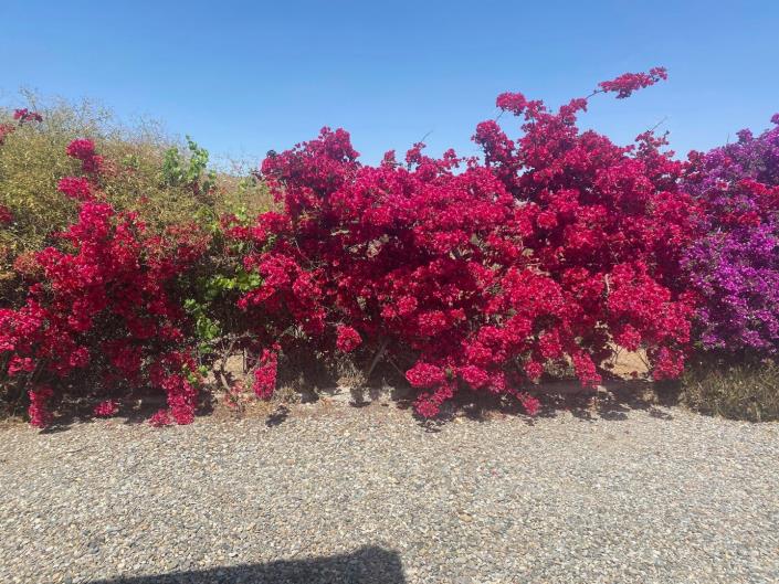 Image No.12-3 Bed Villa / Detached for sale