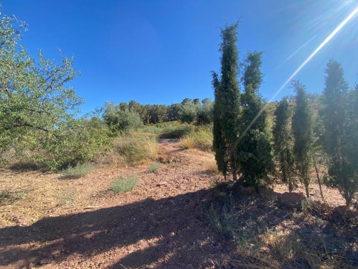 Image No.25-Maison de campagne de 3 chambres à vendre à Velez-Rubio