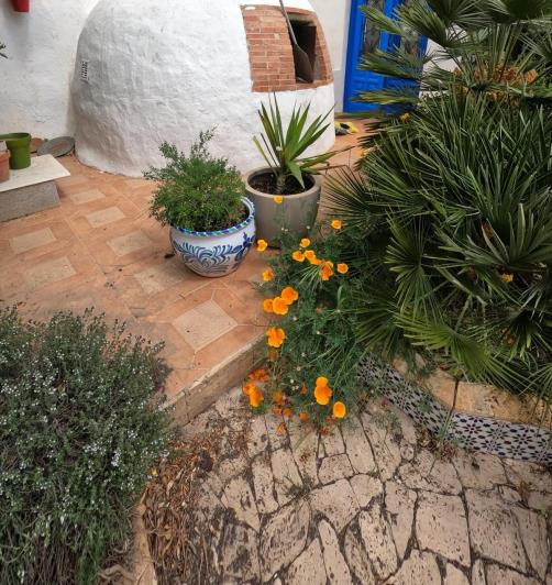 Image No.52-Propriété de pays de 7 chambres à vendre à Oria