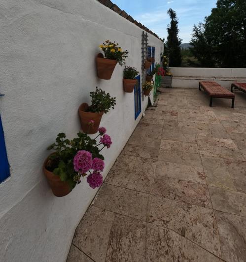 Image No.56-Propriété de pays de 7 chambres à vendre à Oria