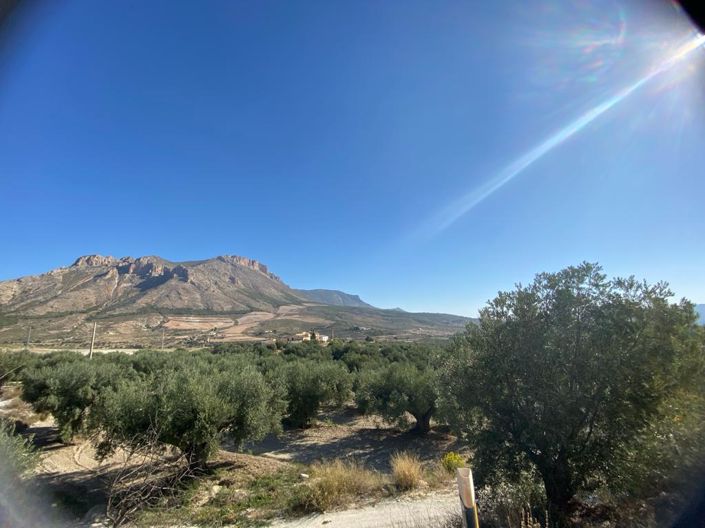 Image No.20-2 Bed Property for sale