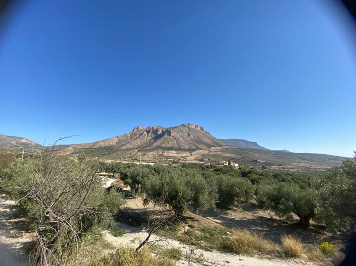 Image No.24-2 Bed Property for sale