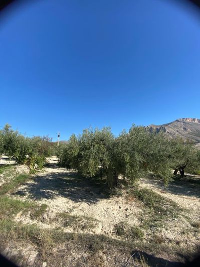 Image No.45-2 Bed Property for sale