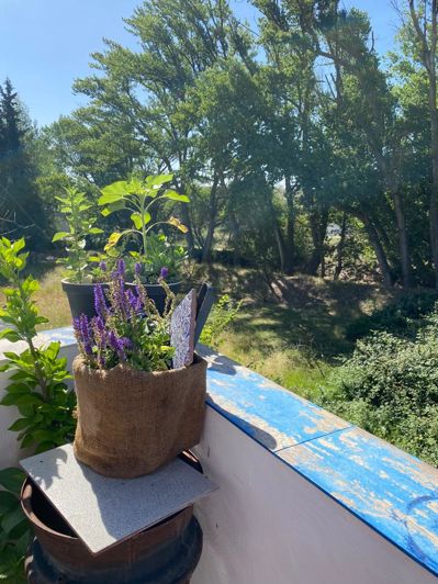 Image No.22-Maison de 5 chambres à vendre à Chirivel