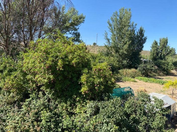 Image No.23-Maison de 5 chambres à vendre à Chirivel