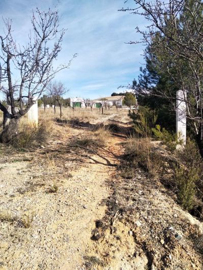 Image No.23-Propriété de 1 chambre à vendre à Velez-Rubio