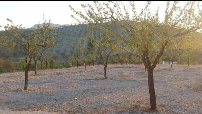 Image No.25-Propriété de 1 chambre à vendre à Velez-Rubio