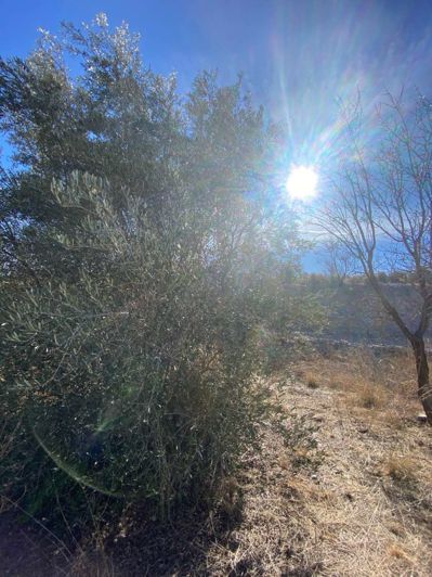 Image No.27-Propriété de 1 chambre à vendre à Velez-Rubio