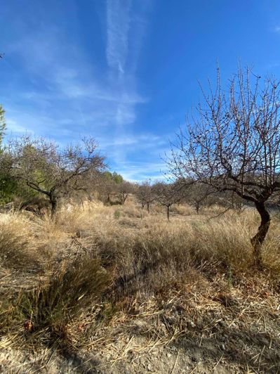 Image No.33-Propriété de 1 chambre à vendre à Velez-Rubio
