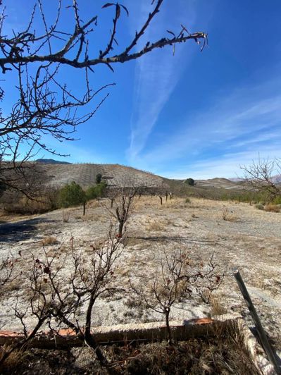 Image No.34-Propriété de 1 chambre à vendre à Velez-Rubio