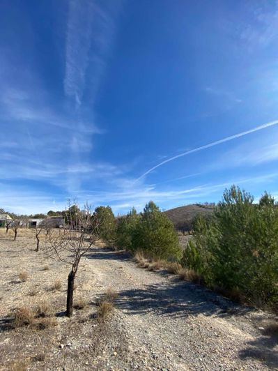 Image No.9-Propriété de 1 chambre à vendre à Velez-Rubio