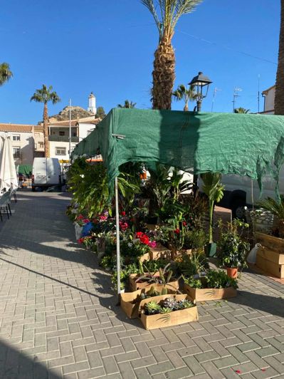 Image No.34-Propriété de 6 chambres à vendre à Zurgena