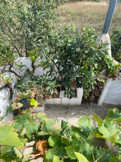 Image No.26-Propriété de 4 chambres à vendre à Velez Blanco