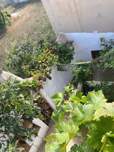 Image No.28-Propriété de 4 chambres à vendre à Velez Blanco