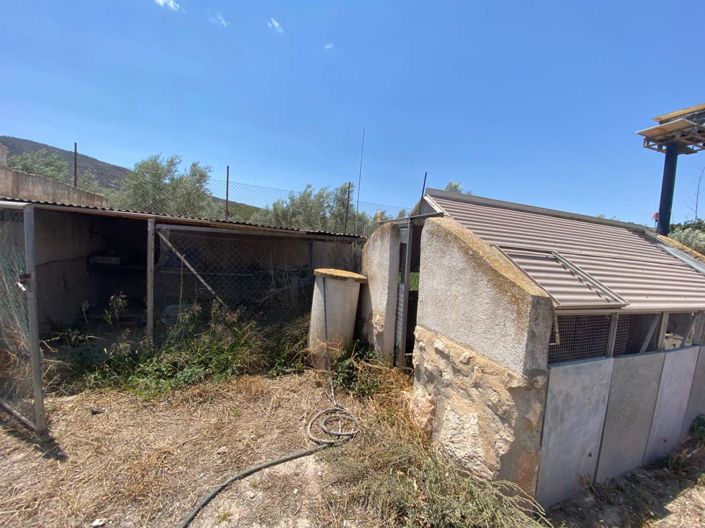 Image No.12-2 Bed Finca for sale