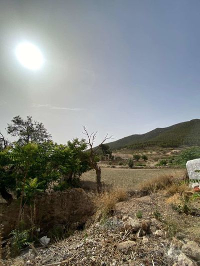 Image No.9-Propriété à vendre à Velez-Rubio