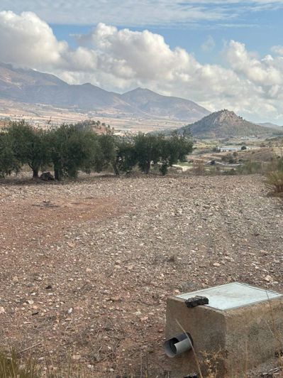 Image No.2-Propriété à vendre à Velez Blanco