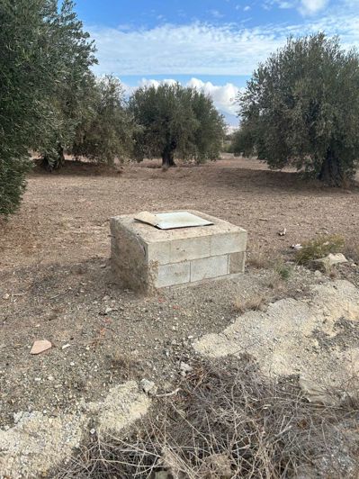 Image No.5-Propriété à vendre à Velez Blanco