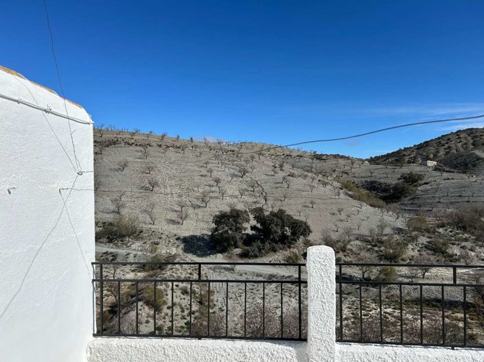 Image No.32-Finca de 7 chambres à vendre à Taberno