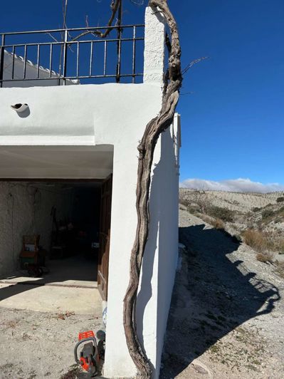 Image No.34-Finca de 7 chambres à vendre à Taberno