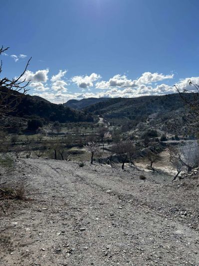Image No.40-Finca de 7 chambres à vendre à Taberno