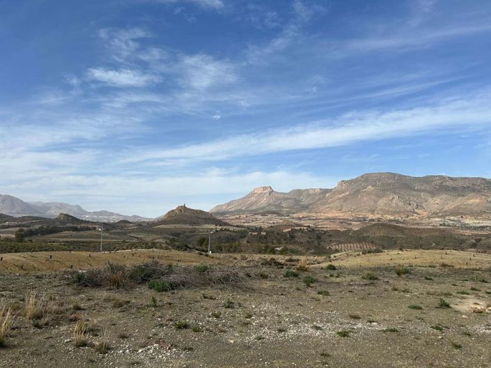 Image No.18-3 Bed Finca for sale