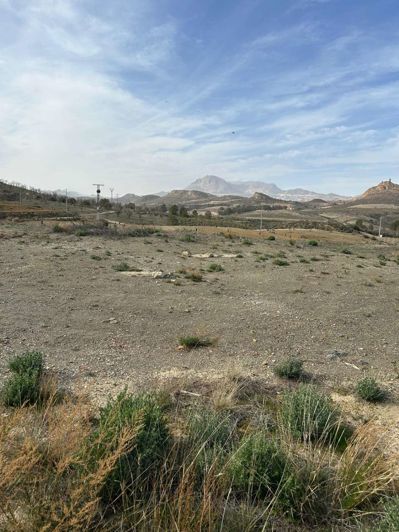 Image No.7-3 Bed Finca for sale